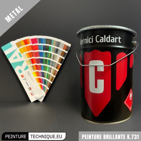 Peinture accroche directe sur métaux brillante - K.731