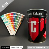 Peinture brillante Caldart K.731 – Acrylique 2K Direct To Metal avec durcisseur CZ711